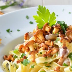 restaurant-altenmarkt-gasthaus-krallinger